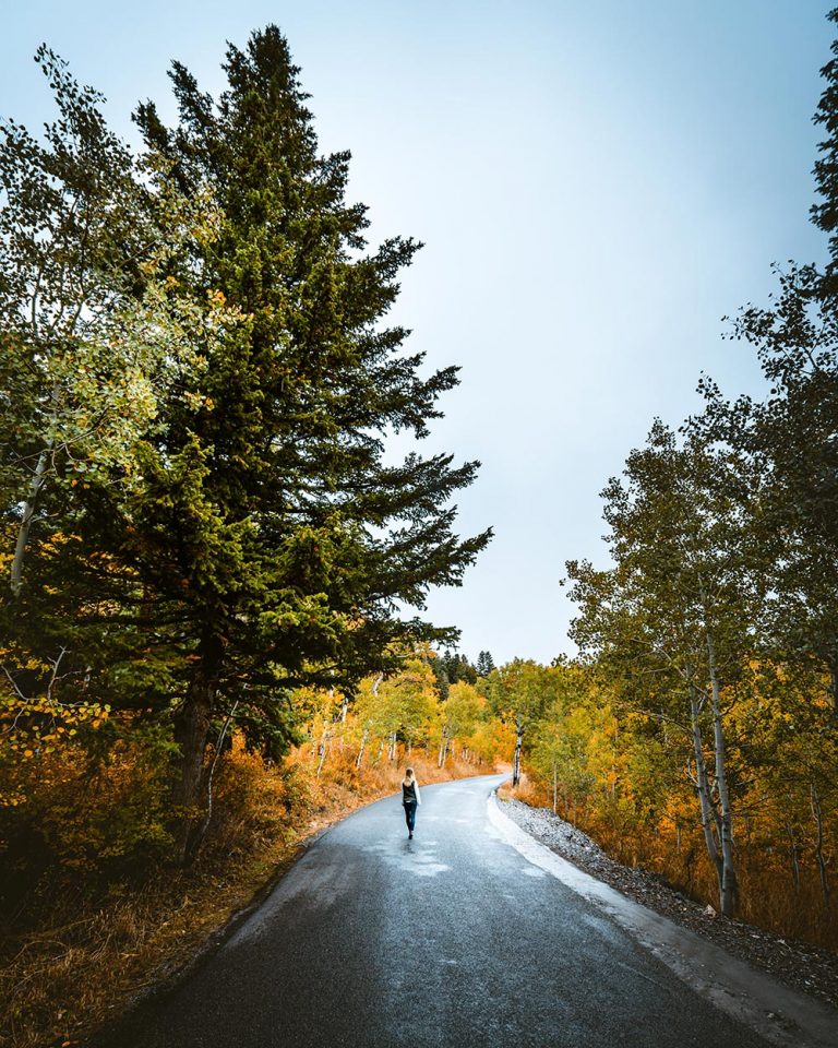 trail-1152864-unsplash.jpg